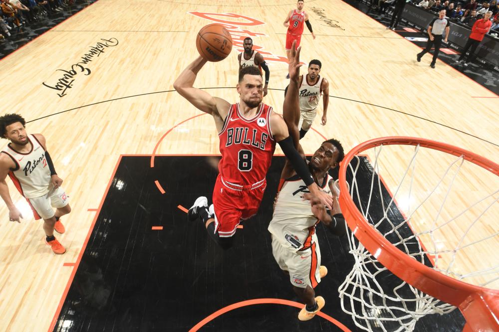 探究灰熊与 探究灰熊与